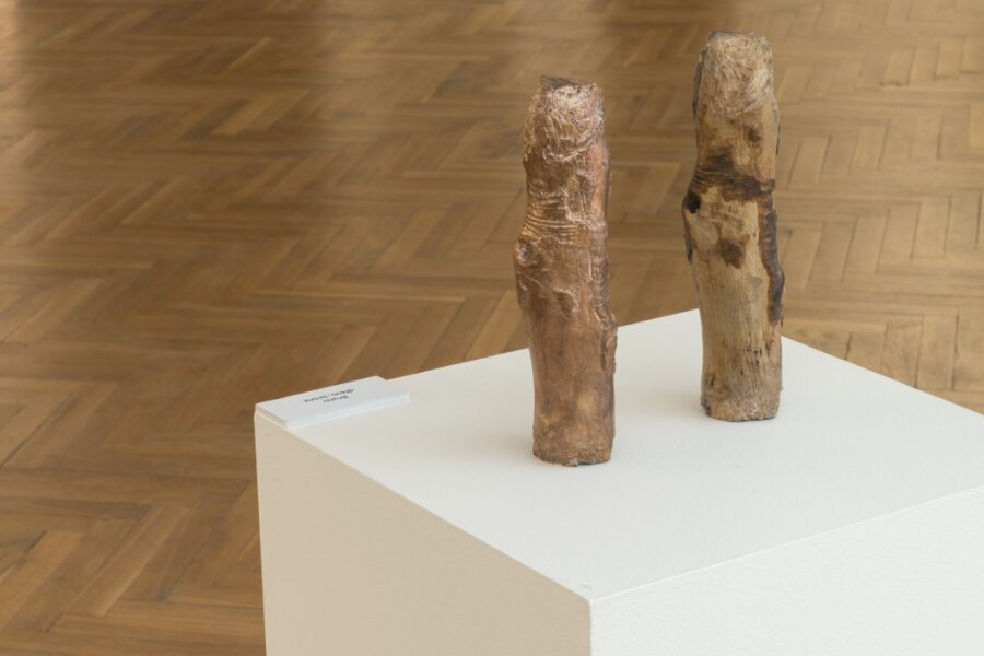 Foto: M. Dvořáková